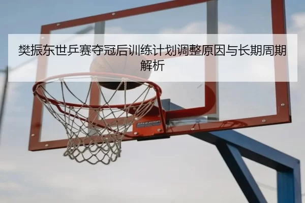 樊振东世乒赛夺冠后训练计划调整原因与长期周期解析
